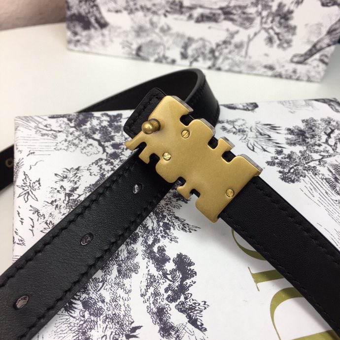 Christian Dior Belts